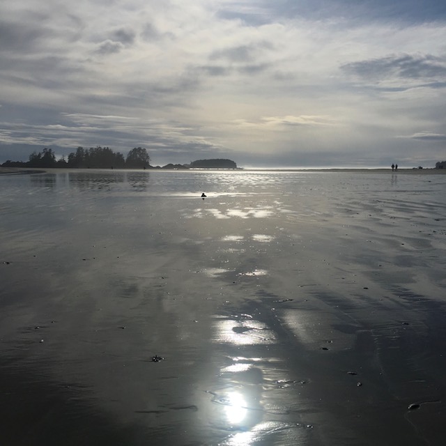 Golden hour at Chesterman Beach, Tofino