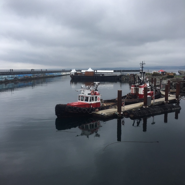 Tugboats at Odgen Point, Victoria. October 14, 2019.