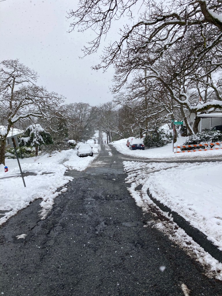 Snowy street scene, Victoria, British Columbia, 14 February 2021. 
