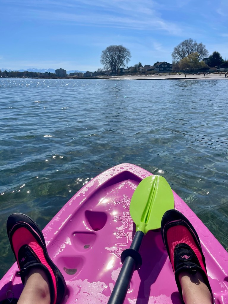 View from pink kayak looking across water to shore, towards the sun. It’s a beautiful day.