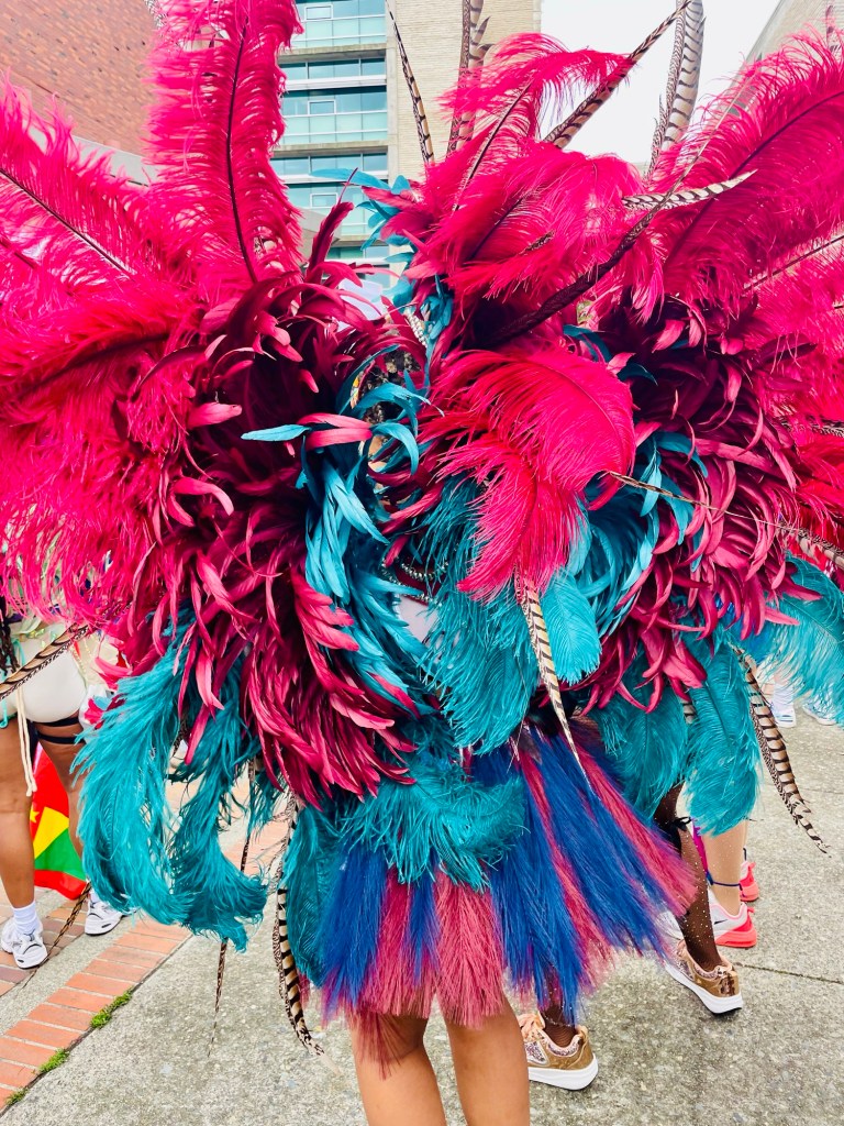 Bright feathered costumes for Caribbean Fest.