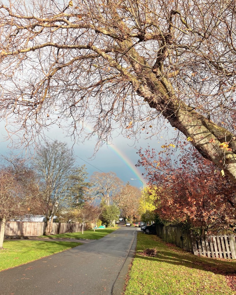 Rainbow at the end of a road. November 2024. Photo by Sonia Nicholson.