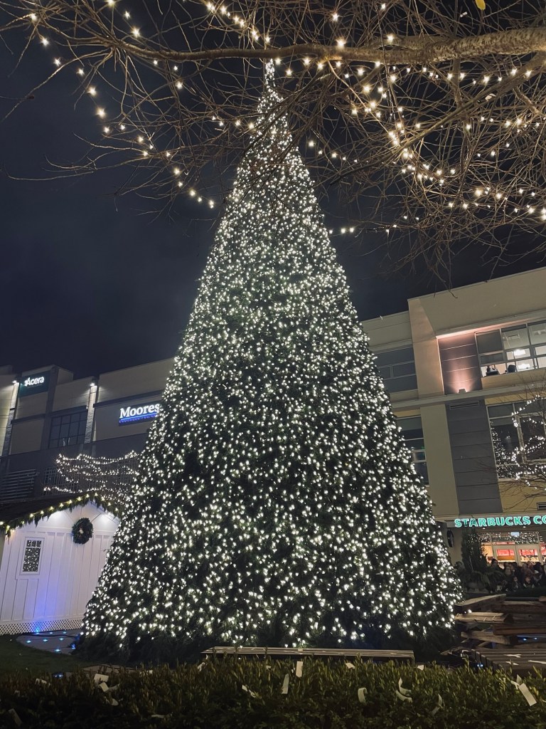 Giant lit Christmas tree. Photo by Sonia Nicholson.