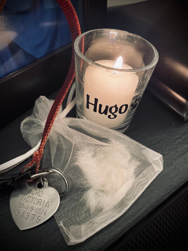 Candle tribute to Hugo the dog. Photo by Sonia Nicholson. 