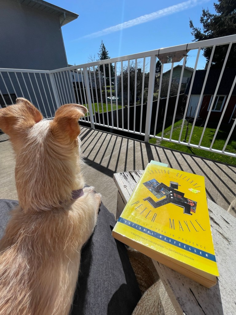 Dog and book.