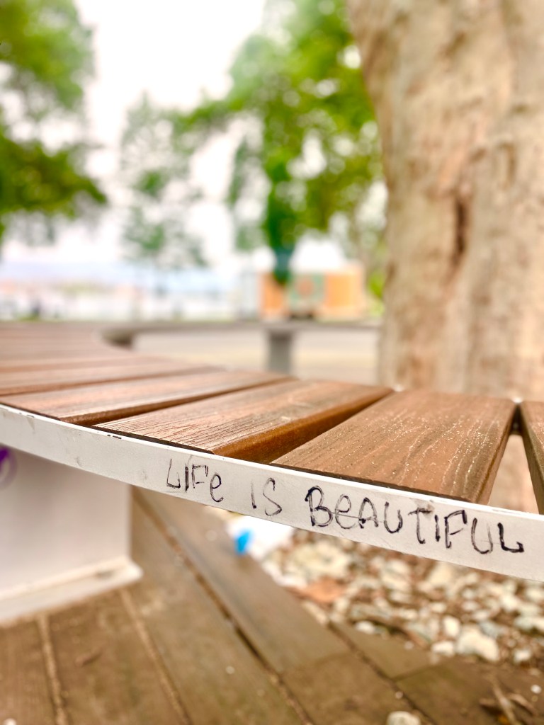 Bench with writing along edge: "Life is beautiful." Photo by Sonia Nicholson.