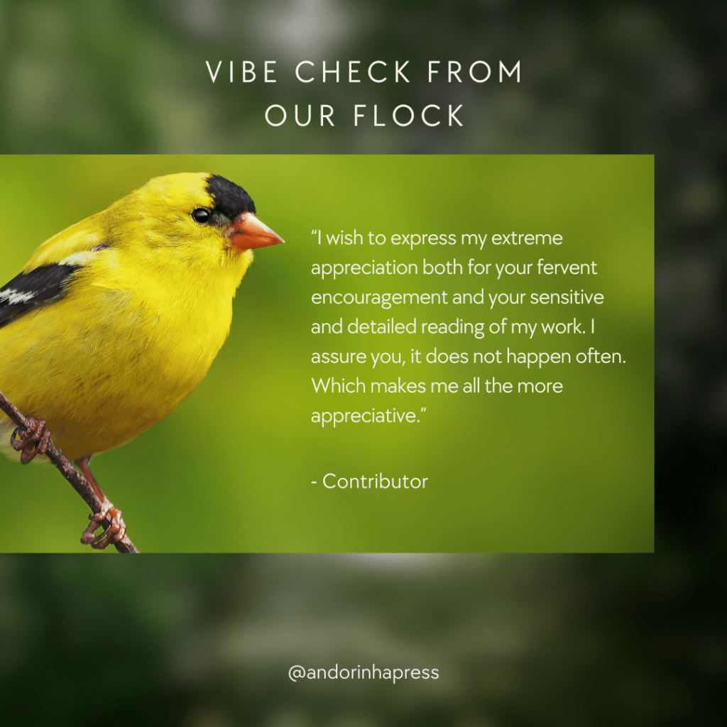 Vibe check from our flock: "I wish to express my extreme appreciation both for your fervent encouragement and your sensitive and detailed reading of my work. I assure you, it does not happen often. Which makes me all the more appreciative." -Contributor